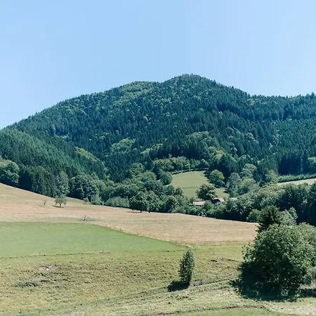 Moderne 3 Zi.-fewo Blackforest Art Naehe Freiburg *