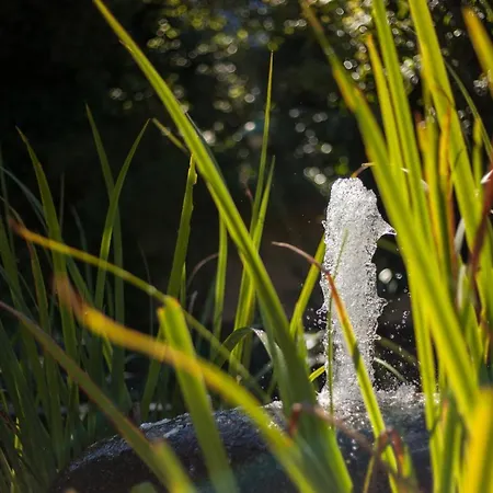 Lägenhet Moderne 3 Zi.-fewo Blackforest Art Naehe Freiburg
