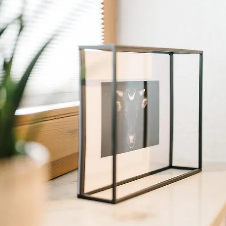 Apartment Moderne 3 Zi.-fewo Blackforest Art Naehe Freiburg *